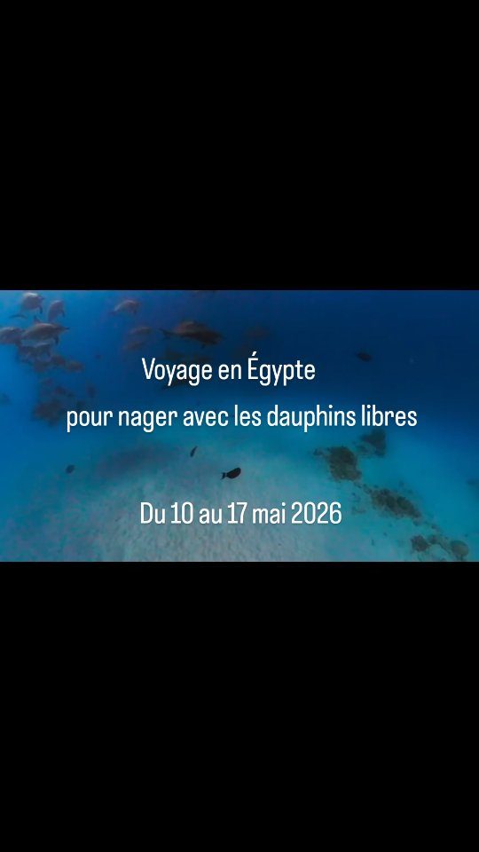 Instagram post from bayardmarine_energeticienne. This post is in position 2.