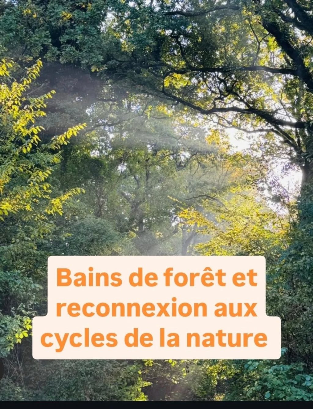 Instagram post from bayardmarine_energeticienne. This post is in position 1.