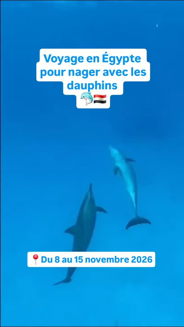 Instagram post from bayardmarine_energeticienne. This post is in position 2.